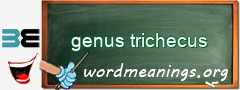 WordMeaning blackboard for genus trichecus